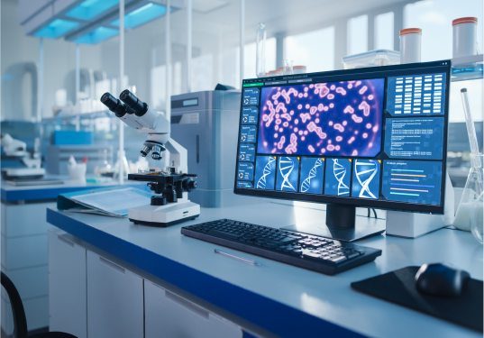 Hogyan születik meg egy gyógyszer?